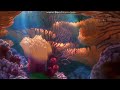 Opening To Finding Nemo 2003 DVD Disc 1