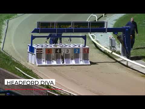 Headford Diva - Central Park Super Standard