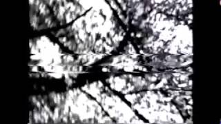 Merry Go Round -  桜の満開の木の下で(sakura no mankai no ki no shita de) [SUBBED ENG/PT]