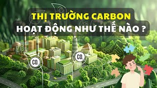 Thị trường carbon hoạt động như thế nào?