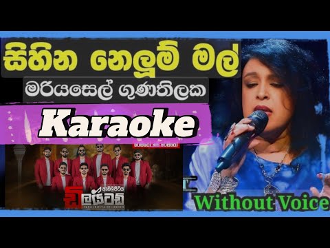 Sihina nelum mal karaoke | without voice