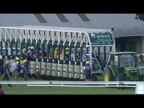 Sir Barnabus - Ipswich Race 7