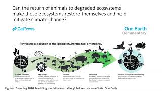 Christopher J. Sandom - Trophic rewilding: regional opportunities for mitigating climate change