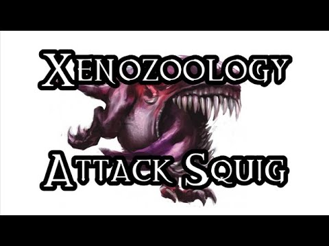 Xenozoology: Attack Squig - 40K Theories