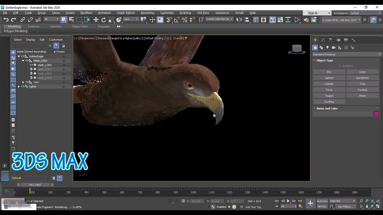 写实动画金鹰 3D 模型