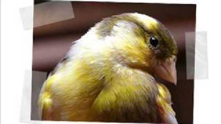 no lo se enrique urquijo y los problemas