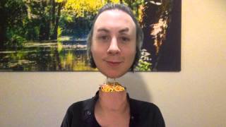 Chris Robson - Seabird