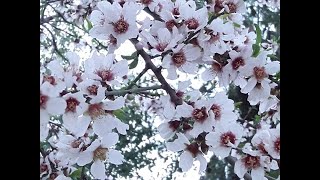 הסיפור הישראלי 210 - כולם קדושים (הרב יצחק חי זאגא) - התמונה מוצגת ישירות מתוך אתר האינטרנט יוטיוב. זכויות היוצרים בתמונה שייכות ליוצרה. קישור קרדיט למקור התוכן נמצא בתוך דף הסרטון