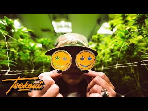 RasTavaris - Puff Herb Smoke