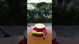 Download lagu Ngopi sore #pecintakopiindonesia mp3 Download lagu Ngopi sore #pecintakopiindonesia mp3