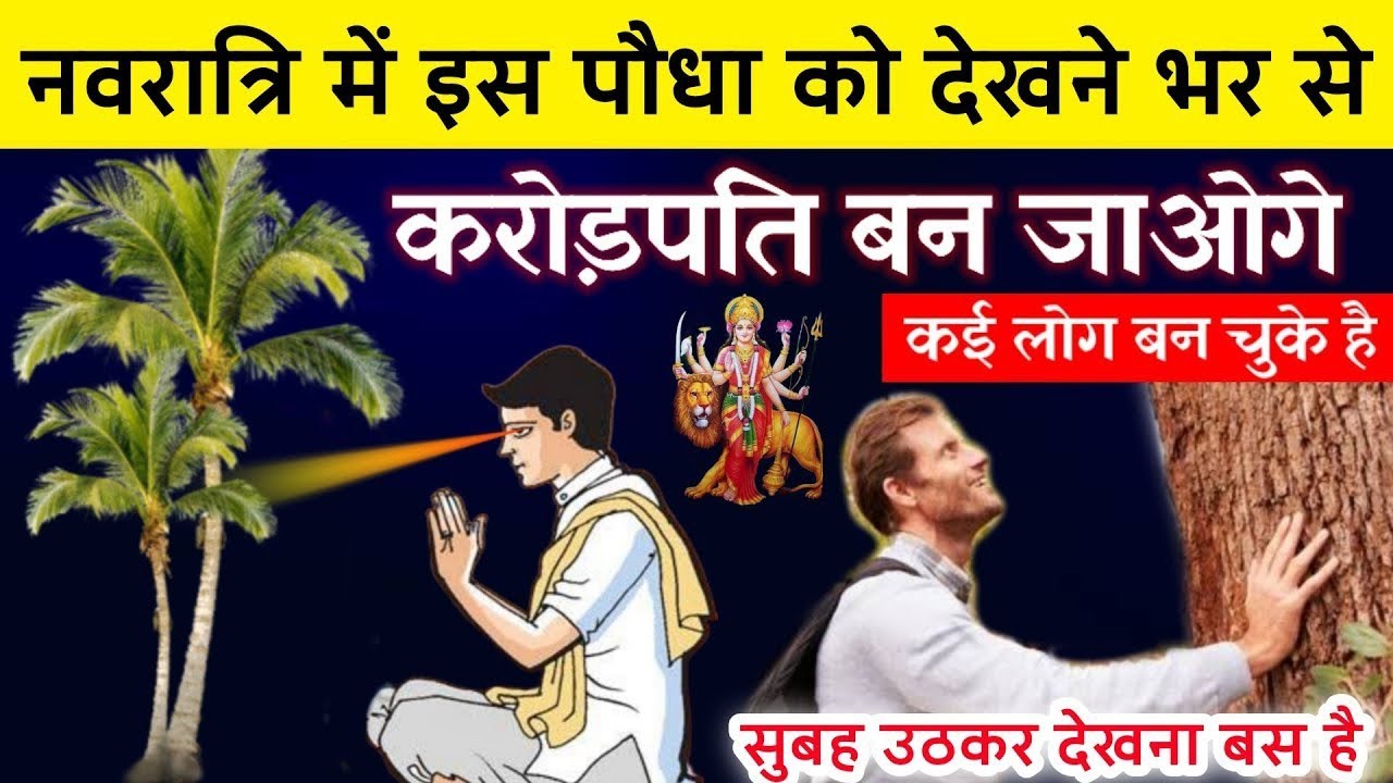 नवरात्रि में सुबह उठकर इस पेड़ को देखने भर से व्यक्ति धनवान बन जाता है//