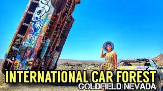 [4K] THE INTERNATIONAL CAR FOREST OF THE LAST CHURCH | GOLDFIELD NEVADA