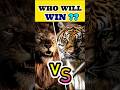 Who Will Win Tiger Vs Lion Lion Vs Tiger Shorts Viral Talksmart Animals