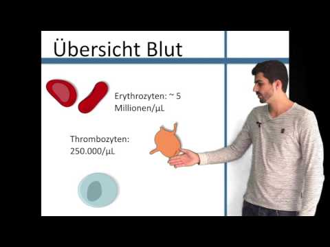 Abnahme der Prostatatumoren Prostatakrebs ist die 2. Grades Volksmittel