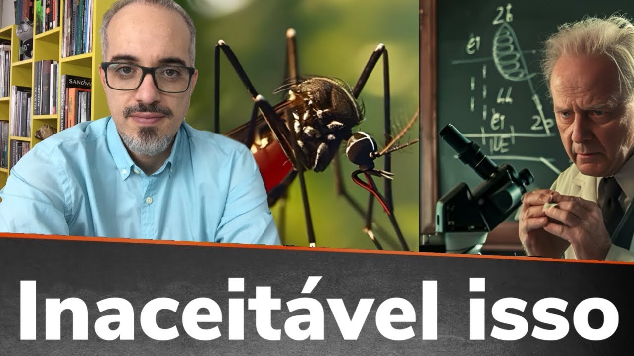 29/08/2024: VAl COMEÇAR ESSA M* NOVAMENTE?