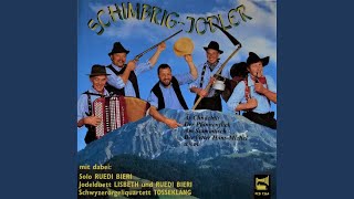 Der Vetter Hans-Michel