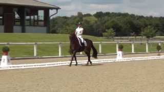 Video koně Steppo 2