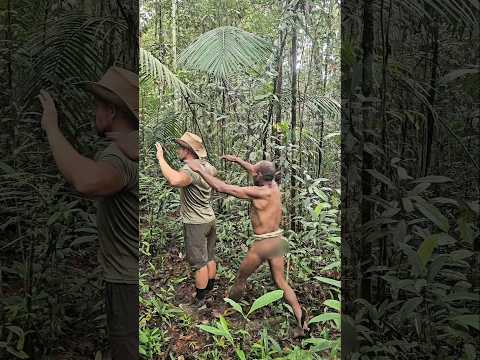 KOROWAI Territory 🔥#cannibal #forest #papua #korowai #tribe