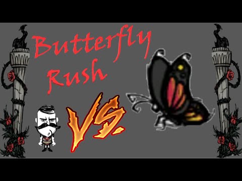Butterfly rush. how to kill. wolfgang Don't starve together