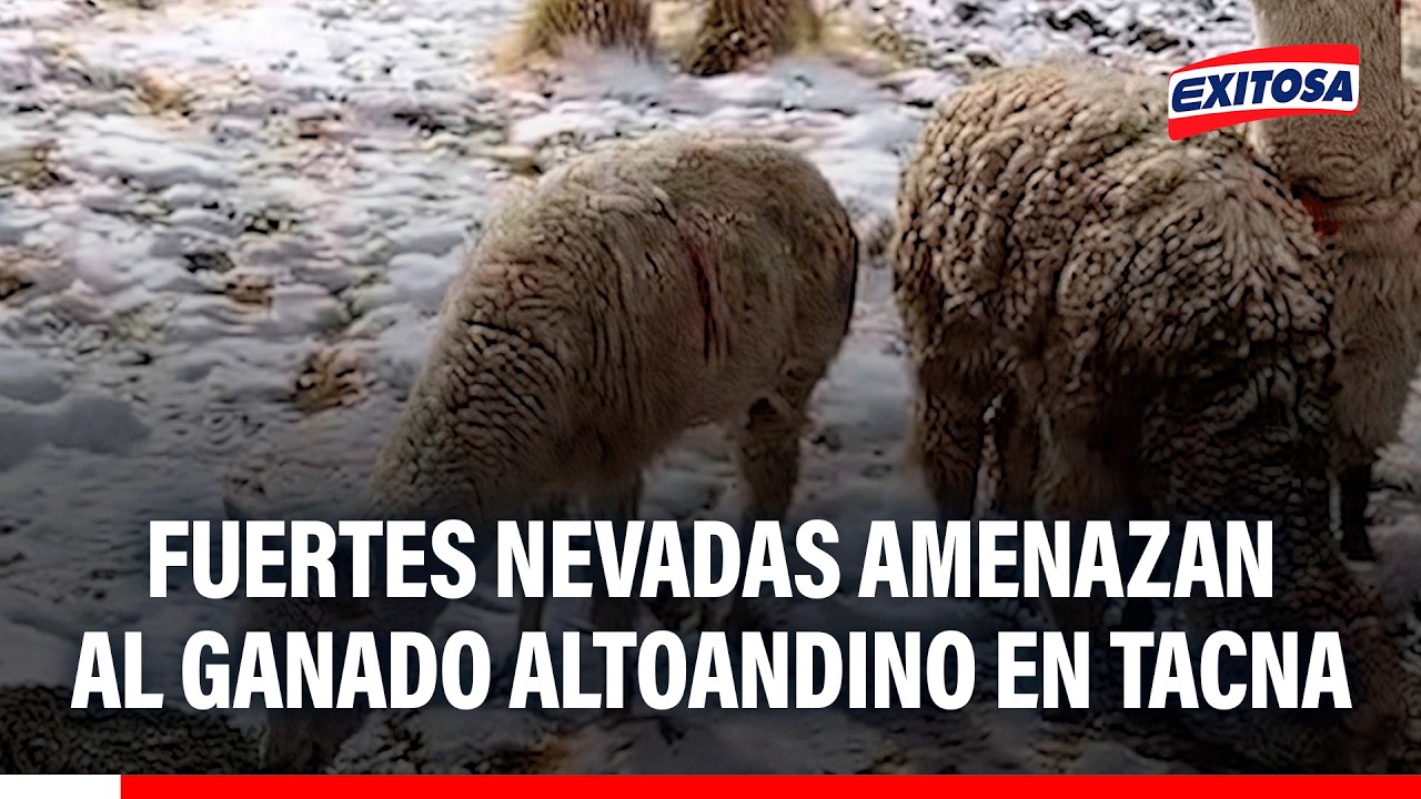 🔴🔵 Comuneros piden apoyo frente a condiciones climáticas