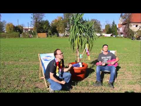 Mollinger Zwoagsang   Jamaika