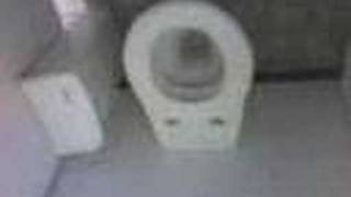 preview picture of video 'The Toilet.'