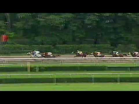 2003 Metropolitan Handicap