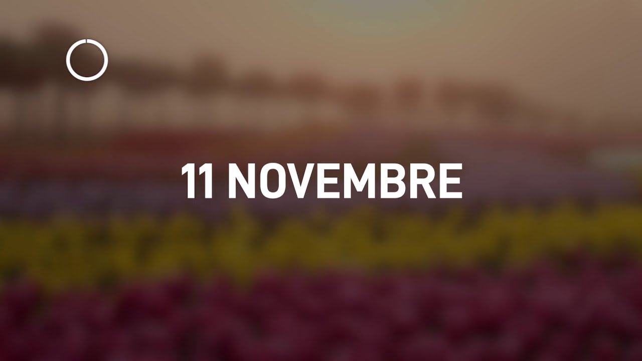 11 Novembre 2024 | Meditazione Parole di Vita