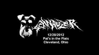 Schnauzer 12/28/2012  Cleveland, Ohio