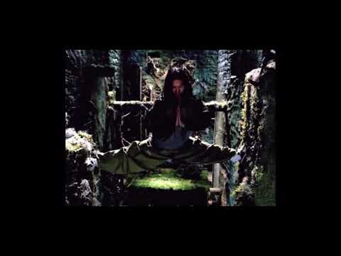 AIU - Missy Elliot/Disturbed/Pink.  MASHUP.  Visuals by AIU.