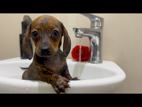 YouTube 썸네일