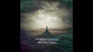 Li-Polymer - Mysticism (Jamie Stevens Remix) [Movement Recordings]
