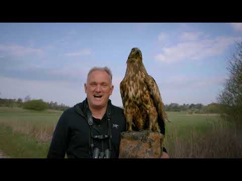 99 arter at se før du bliver voksen: HAVØRN