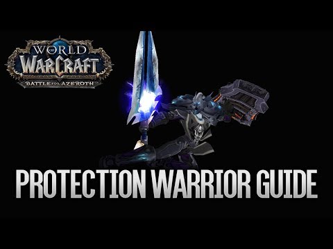 Protection Warrior Guide BFA