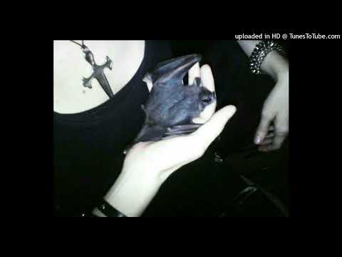 Mareux x Darkwave x Twin Tribes (Prod. Flex Dolph)