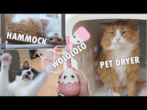 We gave our cats a bunch of stuff