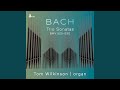 Organ Sonata No. 4 in E Minor, BWV 528 "Trio": I. Adagio