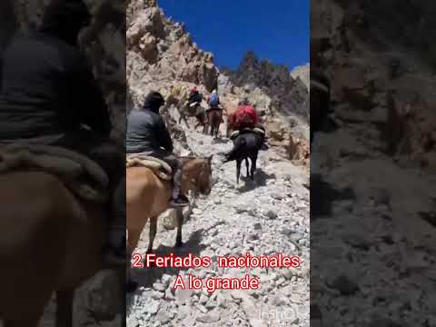 Cabalgatas en la NIEVE - Mendoza 2026 🏔️❄️ #Shorts #Mendoza #Andes