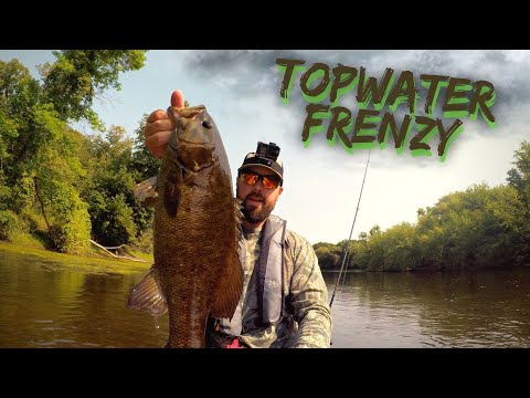 GIANT Smallies LURKING In The Shallows