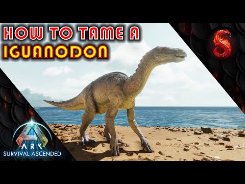 ARK SURVIVAL ASCENDED HOW TO TAME A IGUANODON