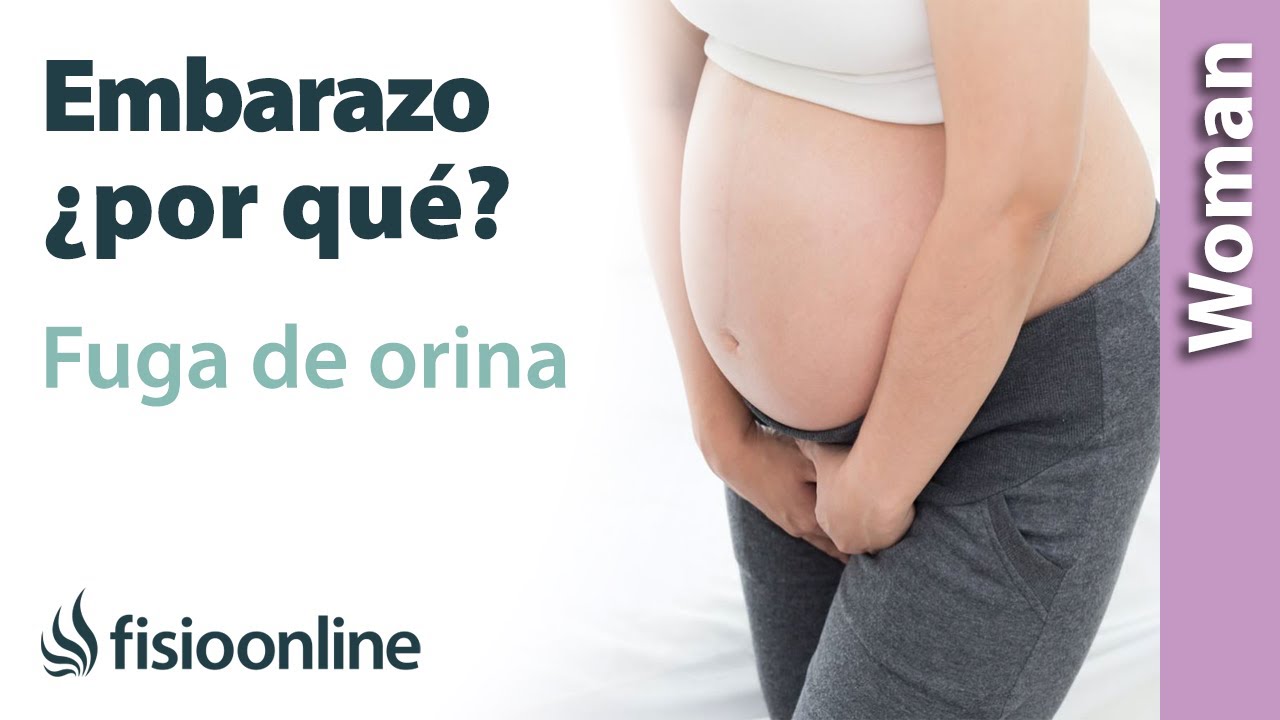 Watch ¿Por qué se me escapa el pis embarazada Cambios que provocan que tu cuerpo tenga más débil tu suelo Now ¿Por qué se me escapa el pis embarazada Cambios que provocan que tu cuerpo tenga más débil tu suelo