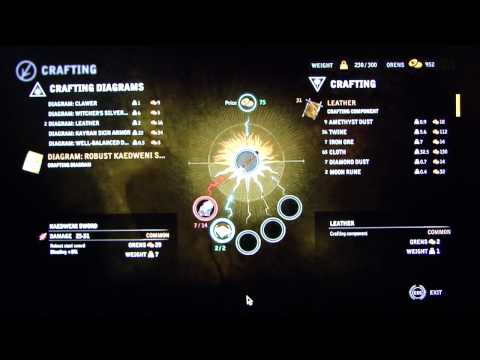 The Witcher 2 Playthrough pt59