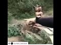 Tarzan And Jane