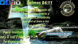 Salmo 84:11