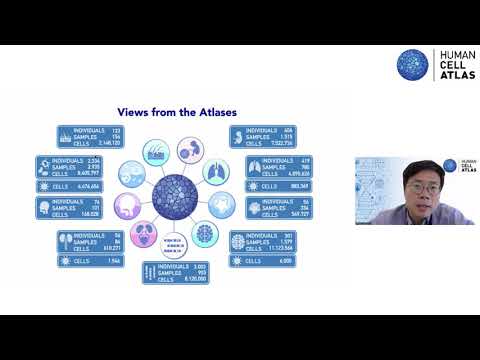 HCA Day 1, The Human Cell Atlas Asia  Building Community Driven Science