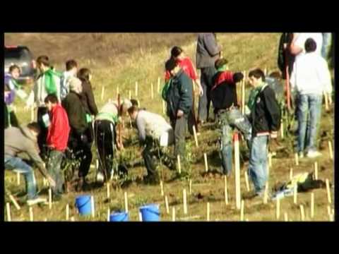 România prinde rădăcini, al treilea an, Vaslui, 20 martie 2010