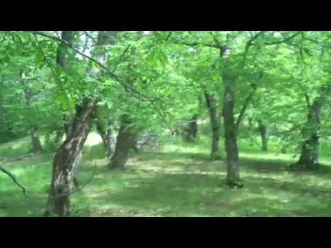 Horse Riding in Italy: Umbria