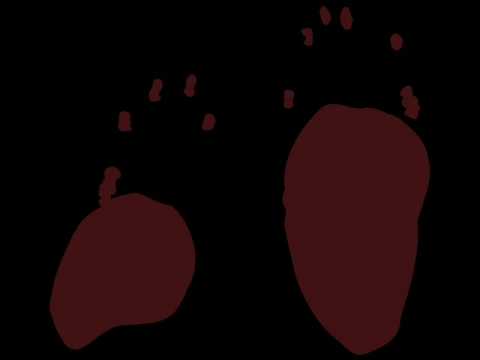 Latex - The Porcupine