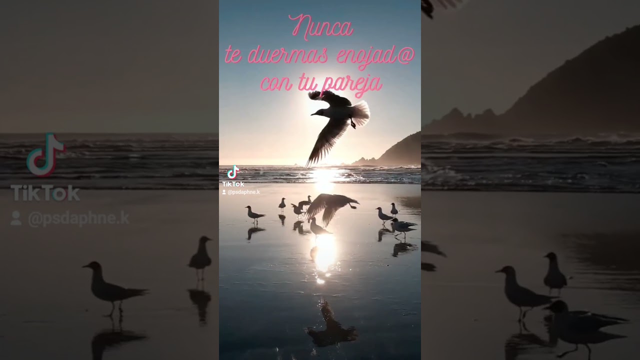 Daphne Klein Reitich-2