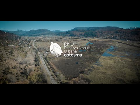 RNU Cotesma
